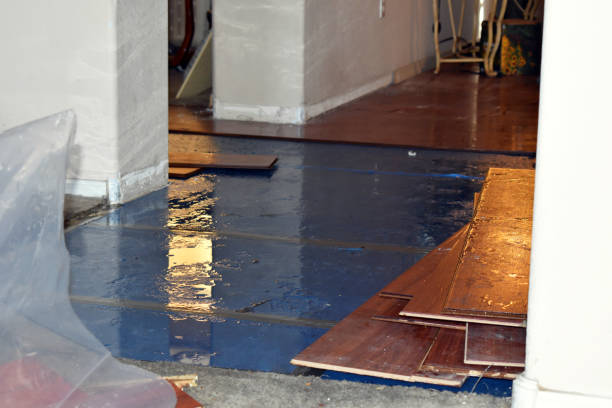 Professional Sewage Cleanup technician working in Carleton, MI